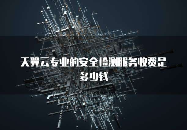 天翼云专业的安全检测服务收费是多少钱