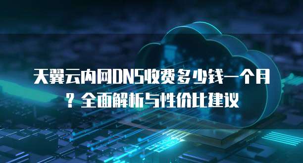 天翼云内网DNS收费多少钱一个月？全面解析与性价比建议