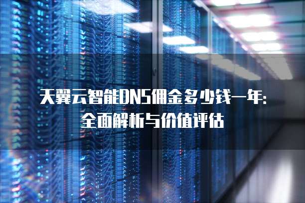 天翼云智能DNS佣金多少钱一年：全面解析与价值评估