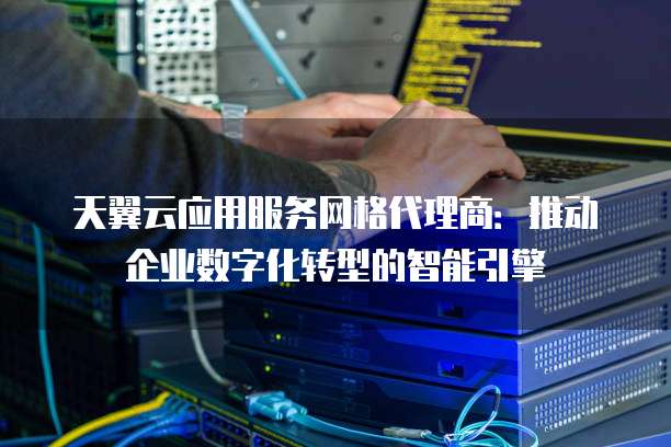 天翼云应用服务网格代理商：推动企业数字化转型的智能引擎