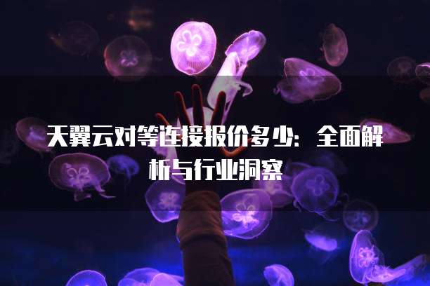 天翼云对等连接报价多少:全面解析与行业洞察