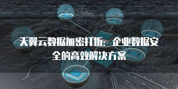 天翼云数据加密打折:企业数据安全的高效解决方案