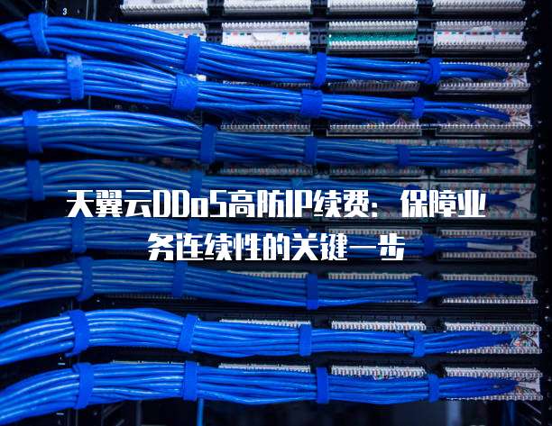 天翼云DDoS高防IP续费:保障业务连续性的关键一步