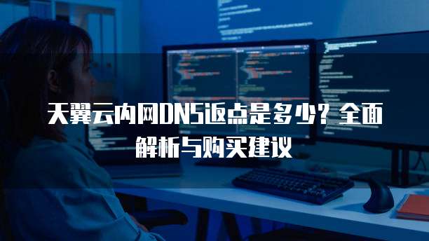 天翼云内网DNS返点是多少？全面解析与购买建议