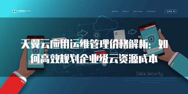天翼云应用运维管理价格解析:如何高效规划企业级云资源成本