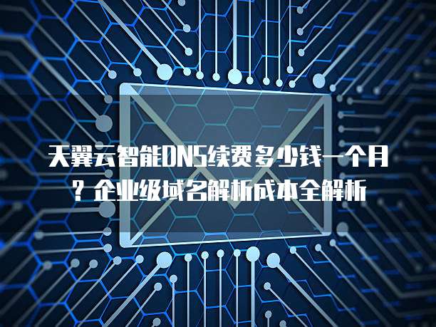 天翼云智能DNS续费多少钱一个月?企业级域名解析成本全解析