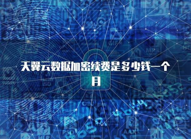 天翼云数据加密续费是多少钱一个月