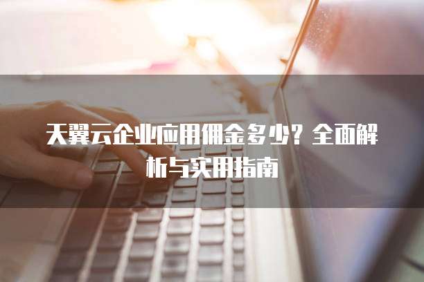 天翼云企业应用佣金多少？全面解析与实用指南