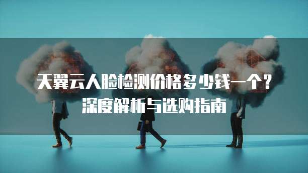 天翼云人脸检测价格多少钱一个？深度解析与选购指南