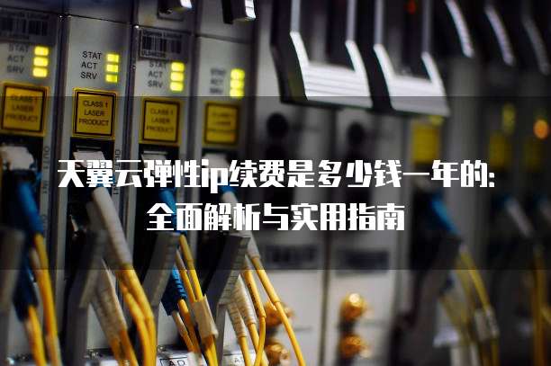 天翼云弹性ip续费是多少钱一年的：全面解析与实用指南