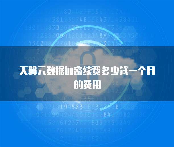 天翼云数据加密续费多少钱一个月的费用