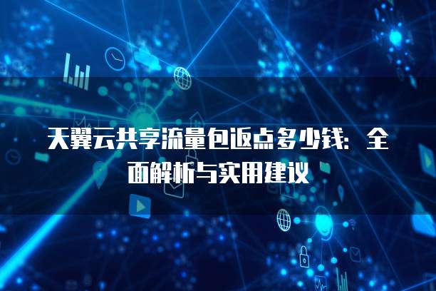 天翼云共享流量包返点多少钱:全面解析与实用建议