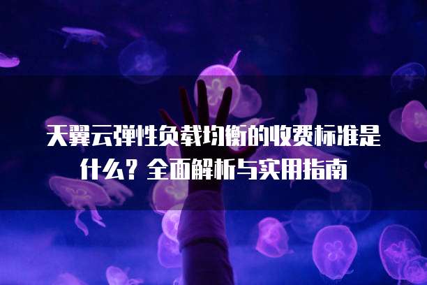 天翼云弹性负载均衡的收费标准是什么?全面解析与实用指南
