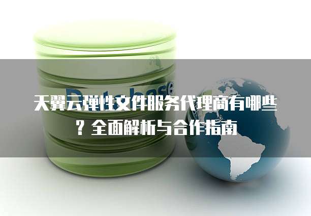 天翼云弹性文件服务代理商有哪些?全面解析与合作指南