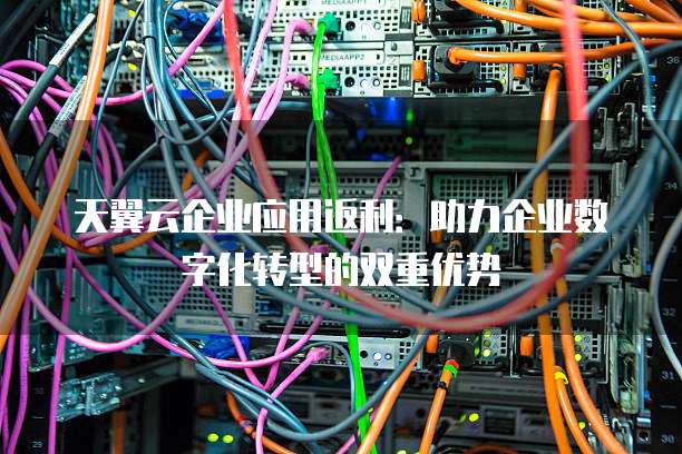 天翼云企业应用返利:助力企业数字化转型的双重优势