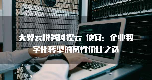 天翼云税务风控云 便宜:企业数字化转型的高性价比之选