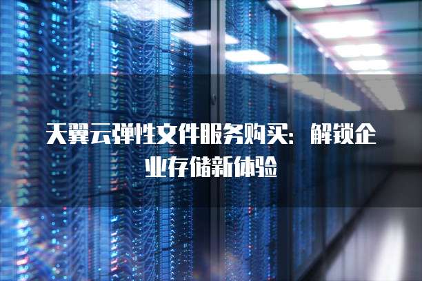 天翼云弹性文件服务购买:解锁企业存储新体验