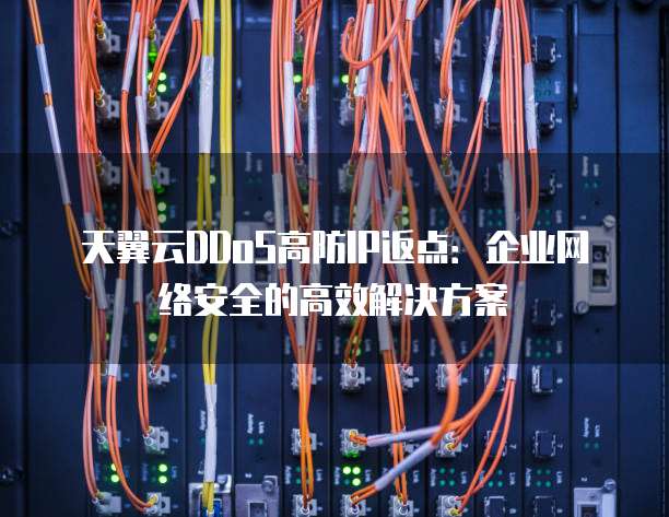 天翼云DDoS高防IP返点:企业网络安全的高效解决方案