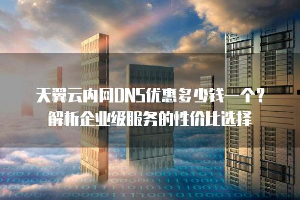 天翼云内网DNS优惠多少钱一个？解析企业级服务的性价比选择