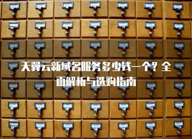 天翼云新域名服务多少钱一个？全面解析与选购指南