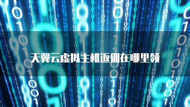 天翼云虚拟主机返佣在哪里领