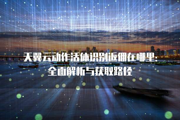 天翼云动作活体识别返佣在哪里：全面解析与获取路径