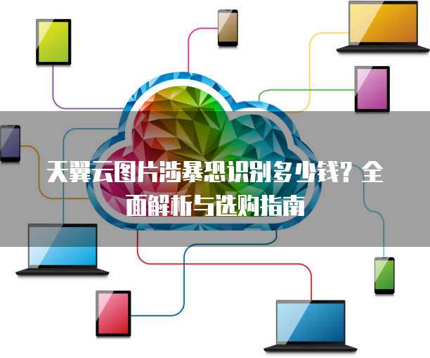 天翼云图片涉暴恐识别多少钱？全面解析与选购指南