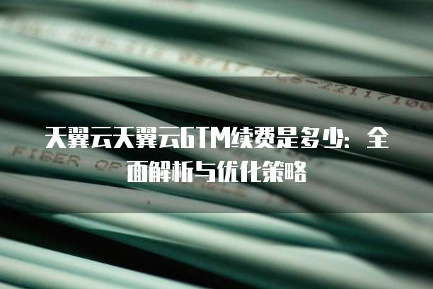 天翼云天翼云GTM续费是多少:全面解析与优化策略