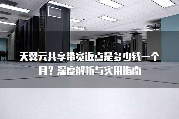 天翼云共享带宽返点是多少钱一个月？深度解析与实用指南