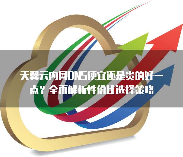 天翼云内网DNS便宜还是贵的好一点?全面解析性价比选择策略