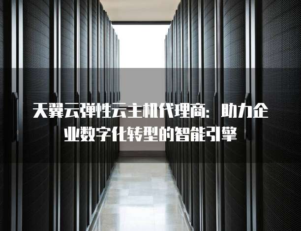 天翼云弹性云主机代理商:助力企业数字化转型的智能引擎