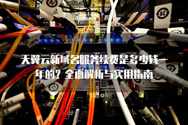 天翼云新域名服务续费是多少钱一年的?全面解析与实用指南