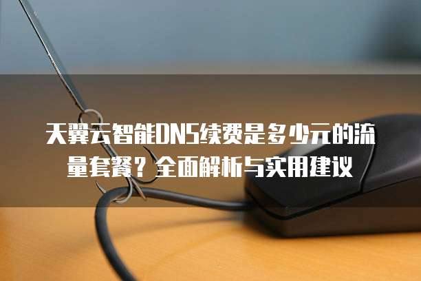 天翼云智能DNS续费是多少元的流量套餐?全面解析与实用建议