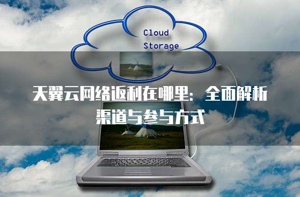 天翼云网络返利在哪里：全面解析渠道与参与方式