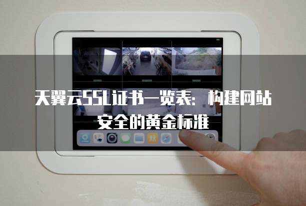 天翼云SSL证书一览表:构建网站安全的黄金标准