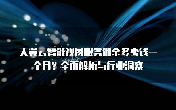 天翼云智能视图服务佣金多少钱一个月?全面解析与行业洞察
