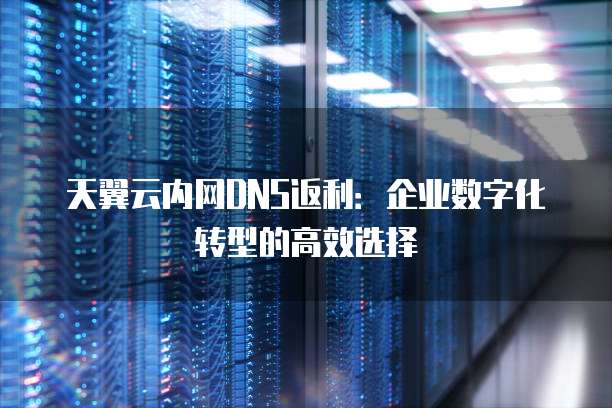 天翼云内网DNS返利:企业数字化转型的高效选择
