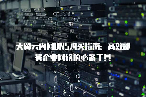 天翼云内网DNS购买指南:高效部署企业网络的必备工具
