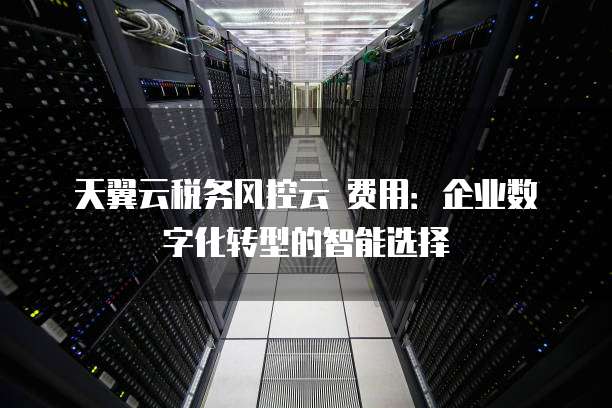 天翼云税务风控云 费用：企业数字化转型的智能选择