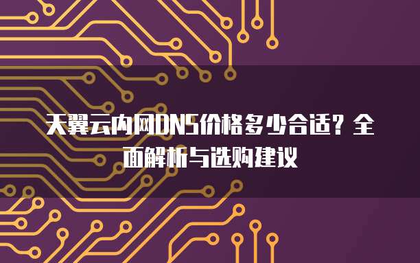 天翼云内网DNS价格多少合适?全面解析与选购建议