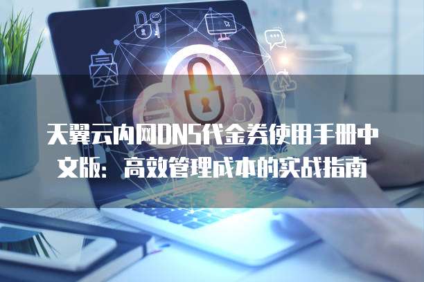 天翼云内网DNS代金券使用手册中文版:高效管理成本的实战指南