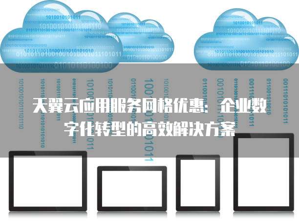 天翼云应用服务网格优惠：企业数字化转型的高效解决方案