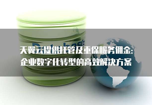 天翼云提供托管及重保服务佣金:企业数字化转型的高效解决方案