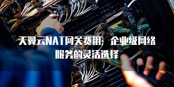天翼云NAT网关费用：企业级网络服务的灵活选择