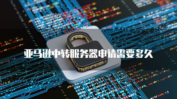 天翼云主机支持的服务器硬盘拓展内存条