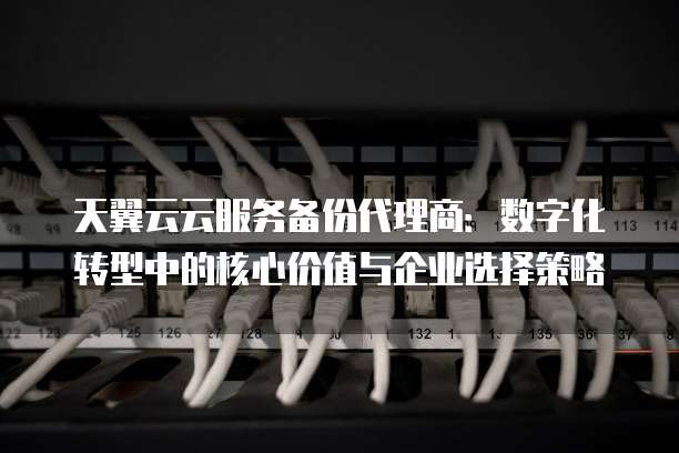 天翼云云服务备份代理商:数字化转型中的核心价值与企业选择策略
