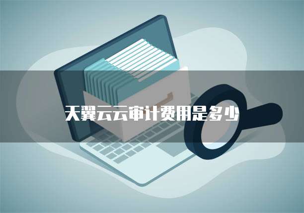 天翼云云审计费用是多少