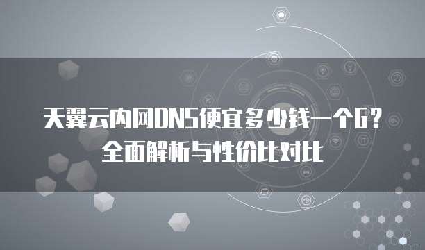 天翼云内网DNS便宜多少钱一个G?全面解析与性价比对比