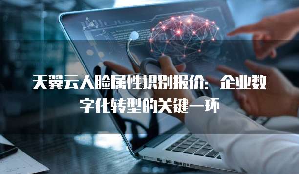 天翼云人脸属性识别报价：企业数字化转型的关键一环