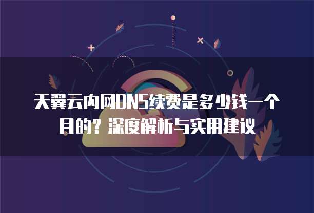 天翼云内网DNS续费是多少钱一个月的?深度解析与实用建议